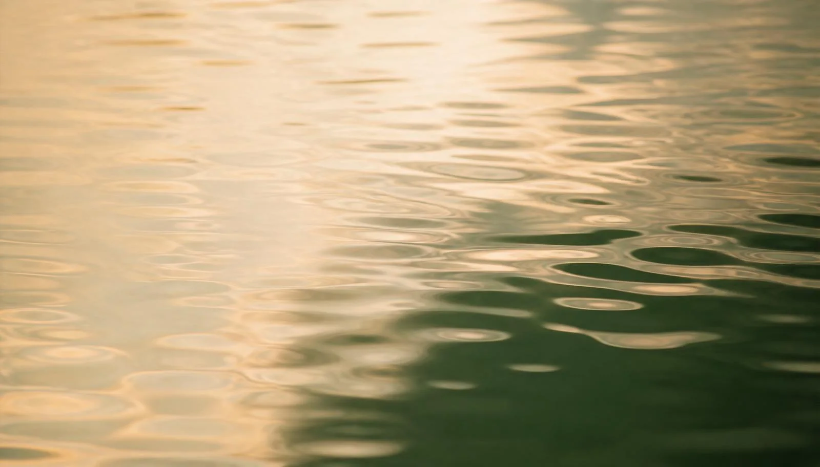 Reflets de lumière sur une surface d'eau calme, image d'ambiance