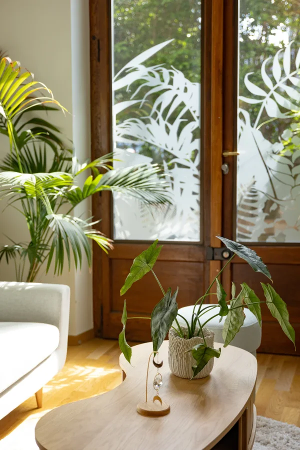 Porte vitrée du cabinet Maison Sama à Genève, ouverture sur le jardin, lumière naturelle et plantes