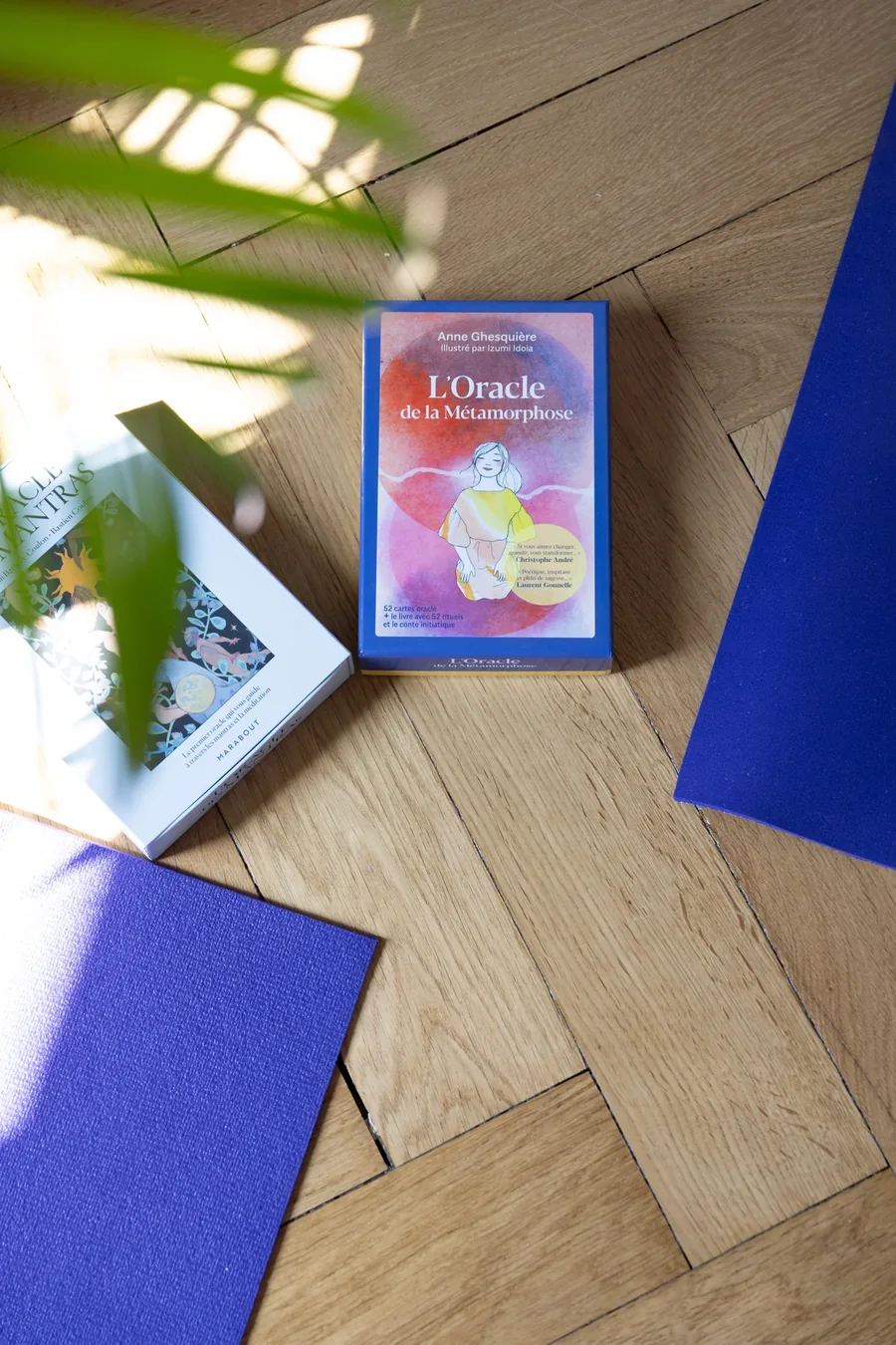 Cartes et supports utilisés en consultation