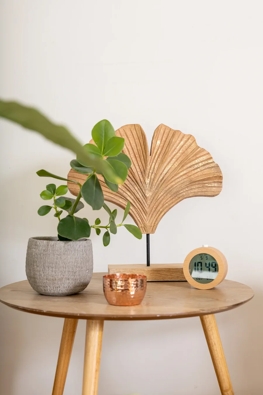 Objets et végétal sur une table basse du cabinet